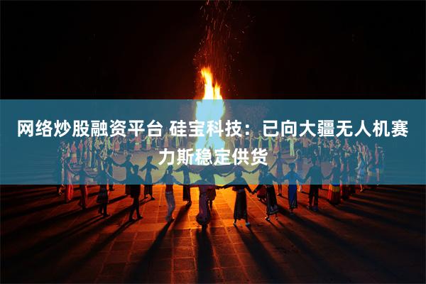 网络炒股融资平台 硅宝科技：已向大疆无人机赛力斯稳定供货