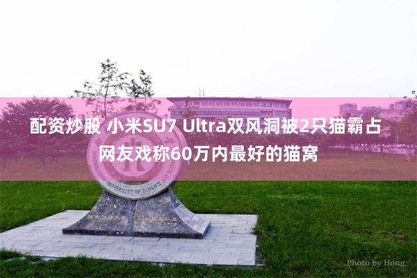 配资炒股 小米SU7 Ultra双风洞被2只猫霸占 网友戏称60万内最好的猫窝